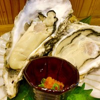稲水器 あまてらす - 