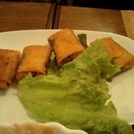 アウデ カース - オランダの激辛ミニ春巻き