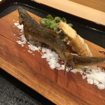 津の守坂 小柴 - 