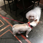 OSTERIA dieci - 初めまして〜♬