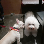 OSTERIA dieci - １歳半と１１歳