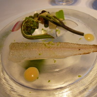 ブラン ルージュ - ☆☆鱚と山菜 酢橘味噌マスタードソース