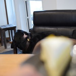 レガーロ×レガーレ - 