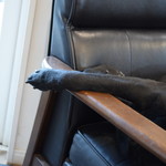 レガーロ×レガーレ - 