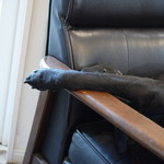 レガーロ×レガーレ - 