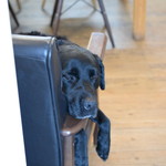 レガーロ×レガーレ - 