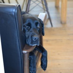 レガーロ×レガーレ - 