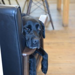 レガーロ×レガーレ - 