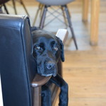 レガーロ×レガーレ - 