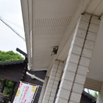 レガーロ×レガーレ - 