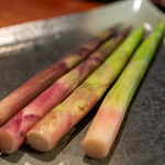 飛騨季節料理 肴 - 2019.6 赤と緑のネマガリタケ