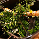 COOK JAPAN PROJECT - 