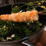 COOK JAPAN PROJECT - 