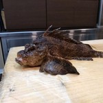 小魚料理 とみ助 - ヒレ全開