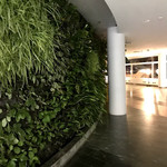 Sydney - International First Lounge - 