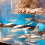 大名 つつじ庵 - 生け簀