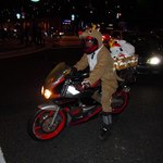 C.D.TAKOH - クリスマスにはトナカイも忙しそうでした＼(^o^)／