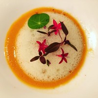 セルサルサーレ - 