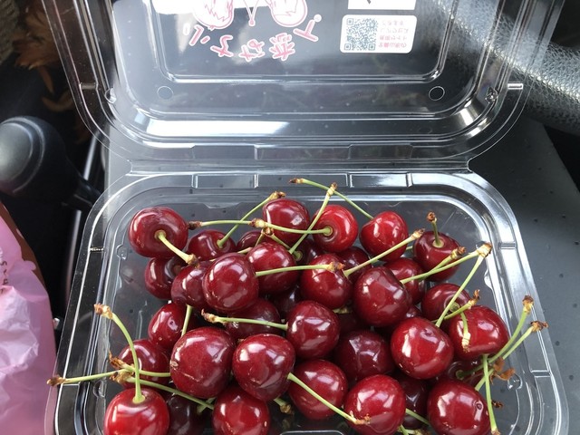 滝口観光果樹園 - 天童（その他）