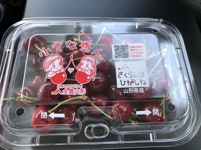 滝口観光果樹園 - 天童（その他）の写真