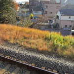 Collinetta - 八坂駅のホームからも見えます