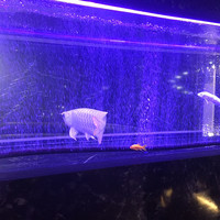 焼肉 拍手喝采 - 