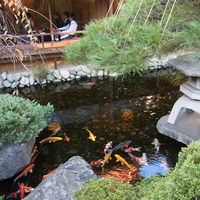 東京 芝 とうふ屋うかい - 