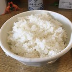 とりそばダイナソー - 