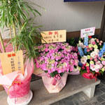 おうどん 瀬戸晴れ - 