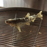 てんぷら 山の上 Roppongi 東京ミッドタウン店 - 