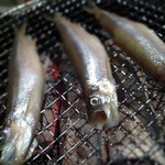 天然魚と七輪焼き 隠れ居酒屋 雑魚や - 