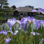 養浩館庭園 - 