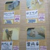 猫喫茶 空陸家 池袋西口店