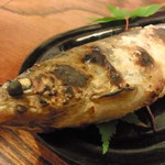 太助 - 山女か岩魚(笑