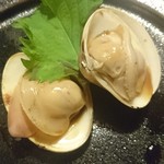 山文魚 - はまぐり