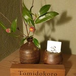 Tomidokoro - 