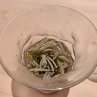 祇園 鮨 忠保 - 