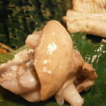 うなぎ屋酒坊・画荘 越後屋 - 23年12月　絶品！　天然鰻の肝わさ