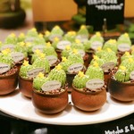 ザ・テラス - 抹茶のティラミス”サボテンスタイル”