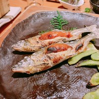 ダイナミックキッチン＆バー 響 カレッタ汐留店  - 