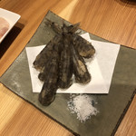 炭火 季節料理 まみや - 