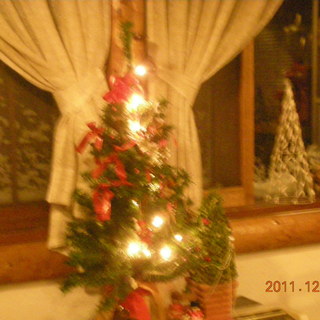 ポムドテール_2