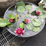 カフェアンドショップ ロータスランド - 