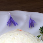 カフェアンドショップ ロータスランド - 生花の飾り
      2019/06/08 モーニングセット
      B set トースト ポテトサラダ 380円
      有機コーヒー(一杯お代わり可)