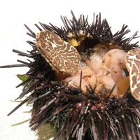 恵比寿 しげ田 - 