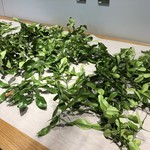 INUA - カフィアライム