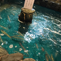 河太郎 中洲本店 - 