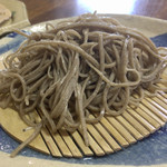 専心庵 - 十割きり蕎麦の皮付き。写真がちょっと暗めですが、一番見た目にはこれが近いかと。