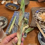 居酒屋食堂 ドデノ メヘヤッコ - 