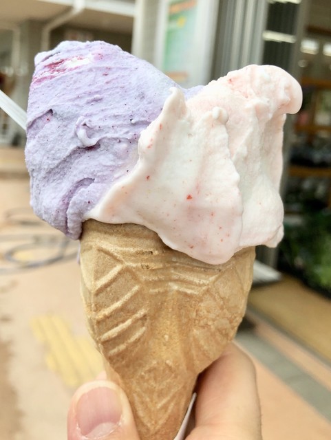 ジェラート工房 磐城常葉 &ndash; 手作りジェラートとくつろぎのカフェ体験